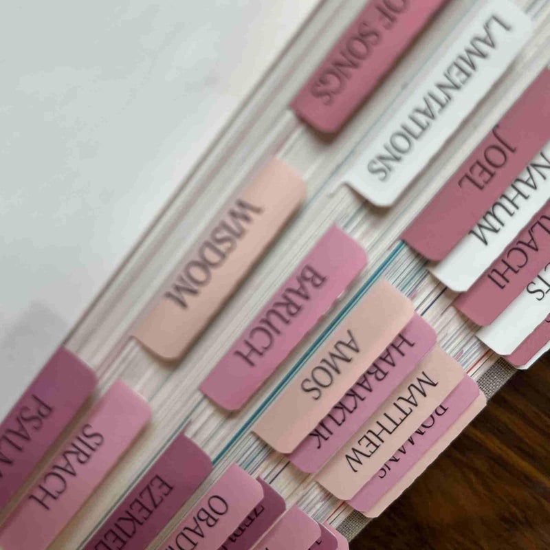 thinkor Catholic Bible Tabs, Reposition Laminated Stickers, Easy to Read and Apply Bible Tabs for Women and Man (Catholic Pink) - Image 5